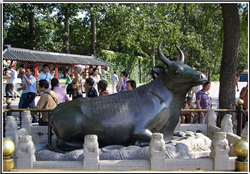 臥著(zhù)銅牛雕塑
